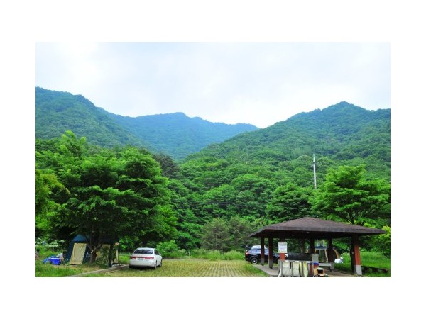전북_지리산달궁오토캠핑장_2.jpg?type=m500_500