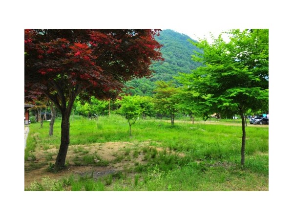 전북_지리산달궁오토캠핑장_4.jpg?type=m500_500