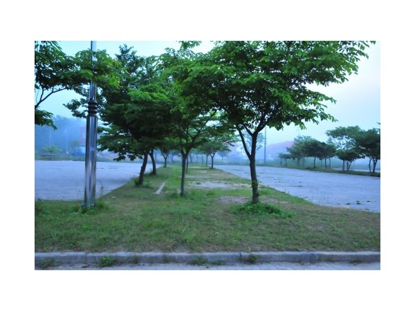 충남_학암포오토캠핑장_2.jpg?type=m500_500