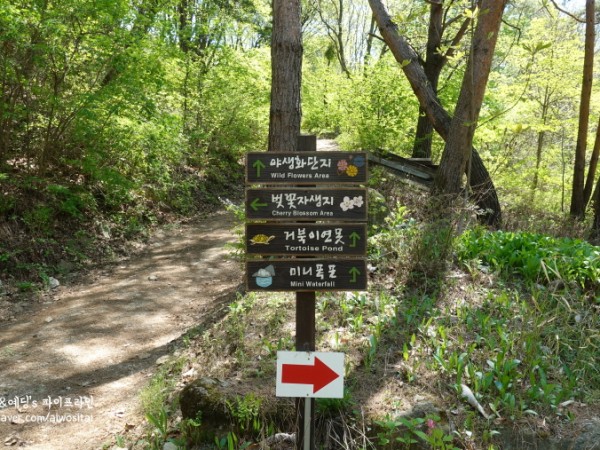 가평수목원DSC01412.JPG