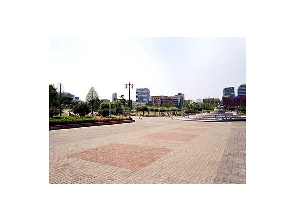 13491854_0.jpg