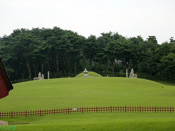 F11A4544.jpg