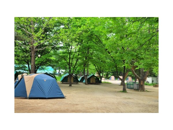 경기_한국스카우트연맹서삼릉청소년야영장_4.jpg?type=m500_500