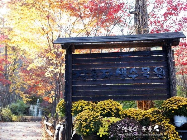 장흥자생수목원_6.jpg#740x493