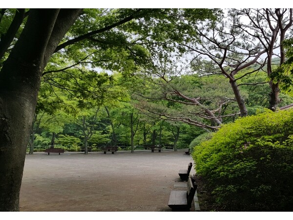 20150514_160641.jpg