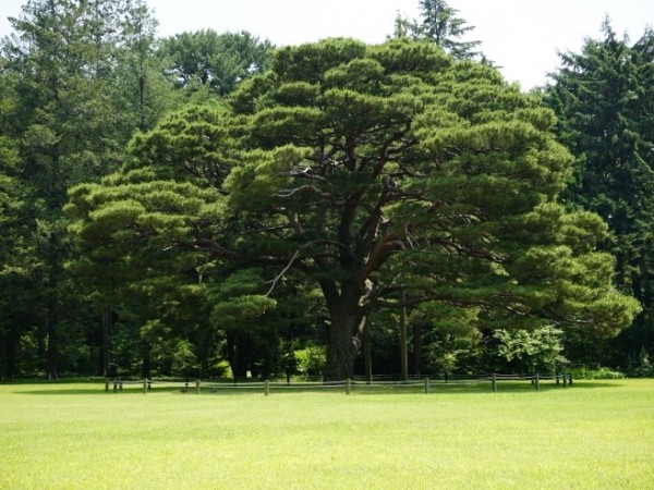_DSC4158.JPG#740x493