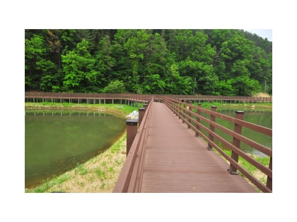 충남_인삼골오토캠핑장_2.jpg?type=m500_500