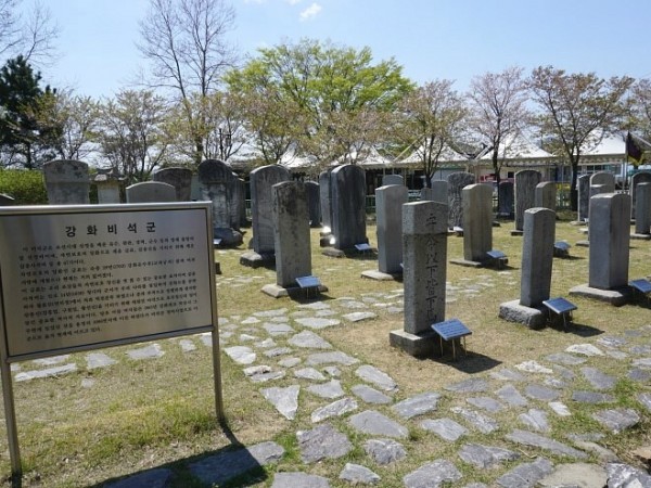 DSC08365.JPG