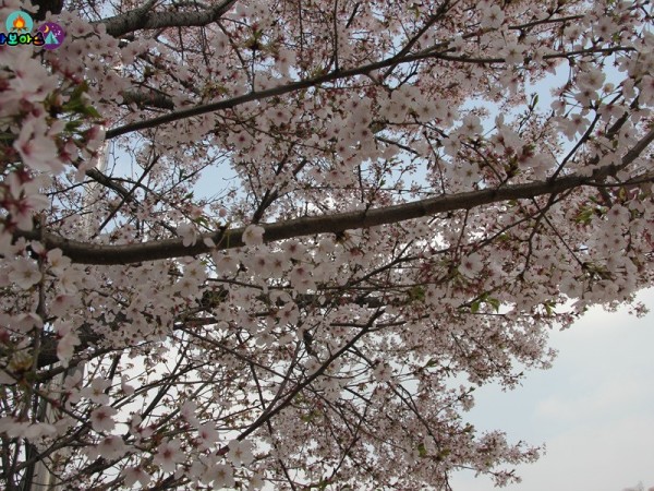 IMG_6243.jpg#900x600
