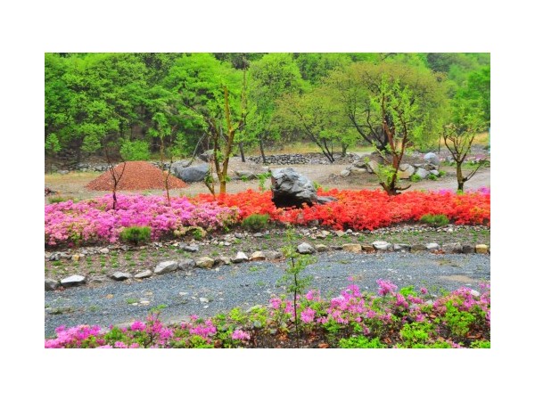 경북_수리덤오토캠핑장_1.jpg?type=m500_500