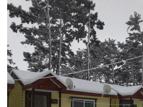 20160124_151115.jpg