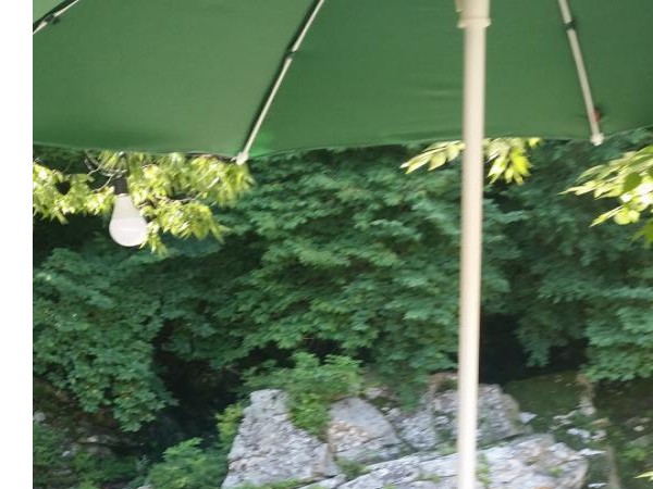 20170713_100659.jpg