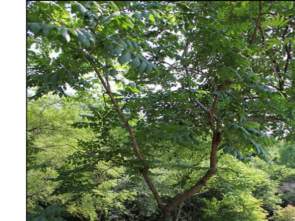 사진_063.jpg