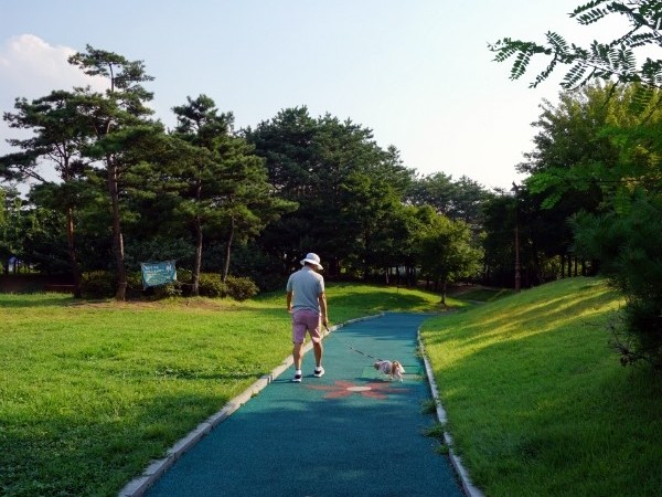 DSC01943.JPG#600x903