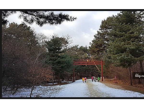 20171125_100647.jpg#756x375