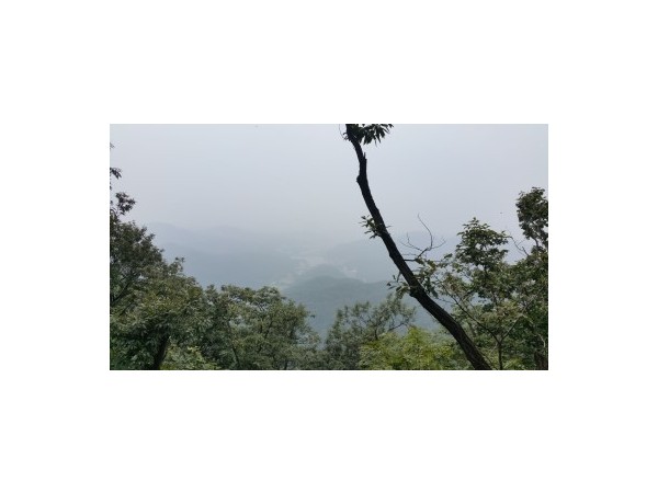 20170910_120239.jpg