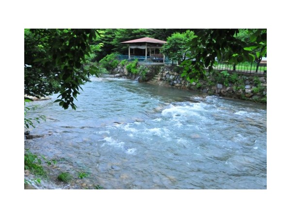 경북_산내산장펜션캠프_2.jpg?type=m500_500