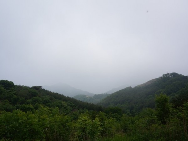 DSC01633.JPG