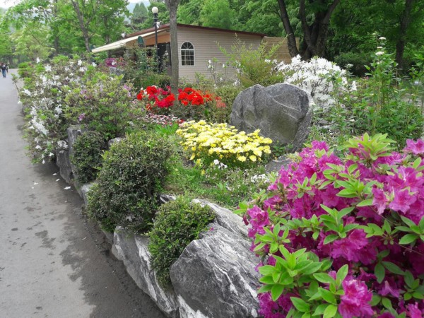 20170509_123708.jpg
