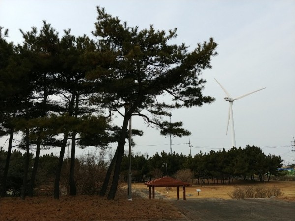 20180102_133813_HDR.jpg