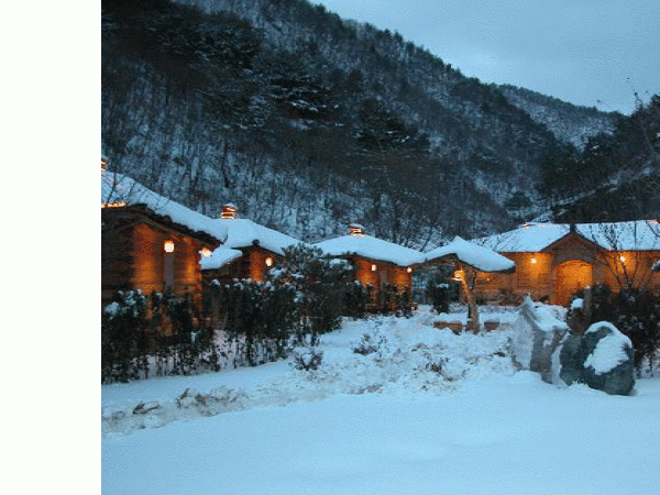 11601316_0.gif