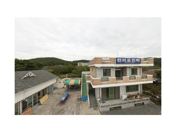 83503_720.jpg?type=m500_500