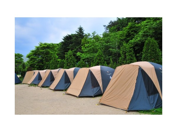 경기_한국스카우트연맹서삼릉청소년야영장_2.jpg?type=m500_500