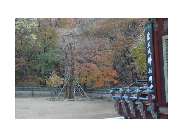 서울_진관사_12.JPG