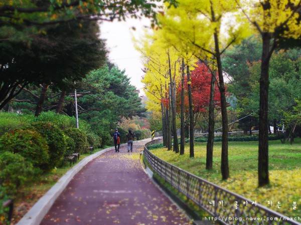 IMGP6652_복사.jpg