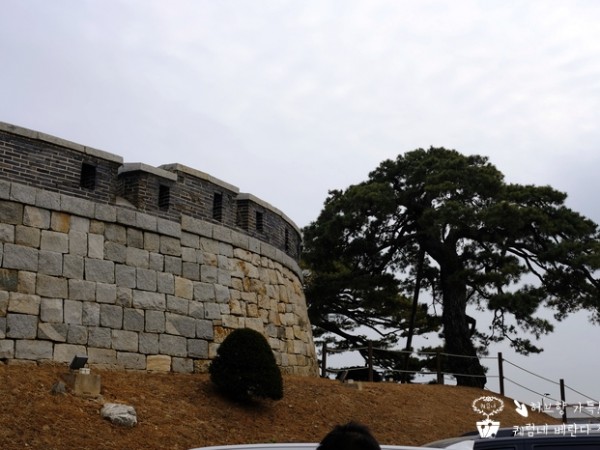 DSCF7921.JPG