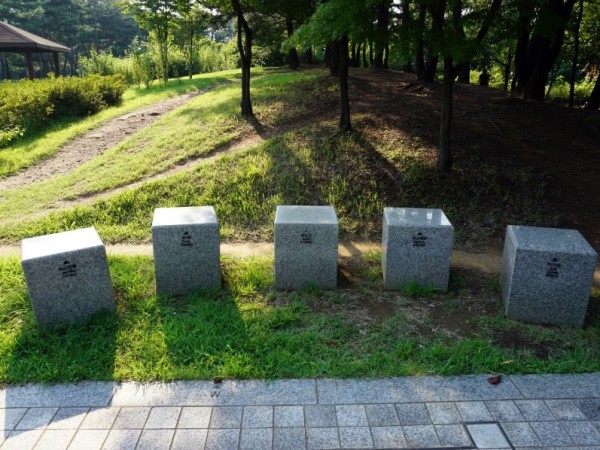 DSC01962.JPG#900x598