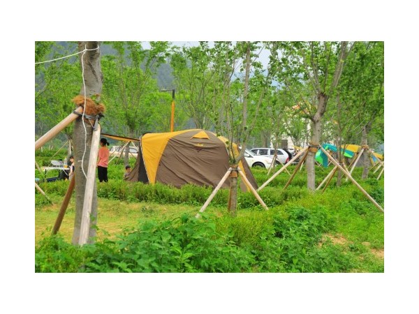 충남_인삼골오토캠핑장_6.jpg?type=m500_500