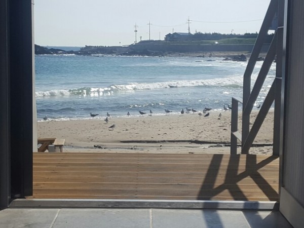 177051518178528_1.jpeg