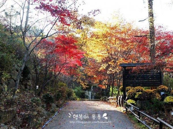 장흥자생수목원_5.jpg#740x493
