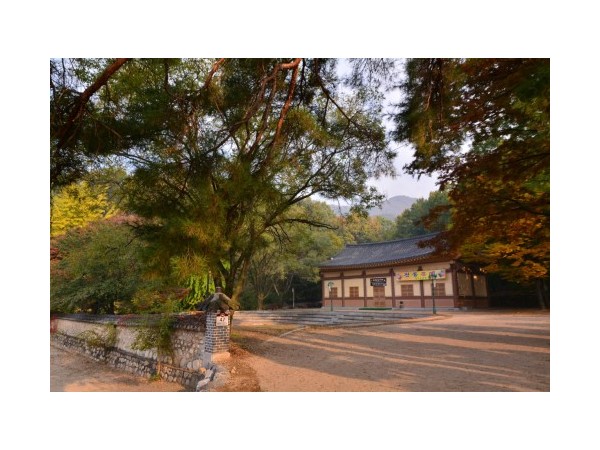 경기_양주별산대놀이마당_14.JPG?type=m500_500
