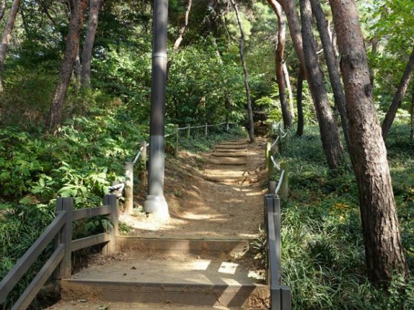 294.JPG#800x1200