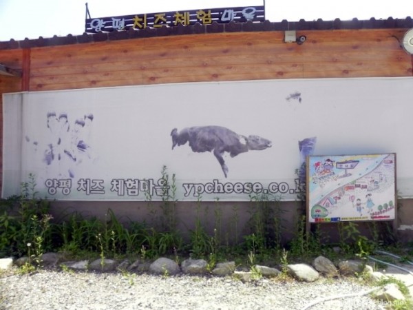 사진_221.jpg