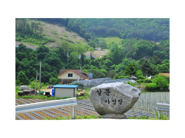 강원_살둔야영장_1.jpg?type=m500_500