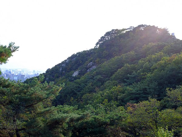 DSCF4929.jpg#880x587