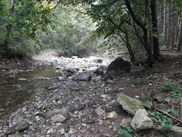 20170910_144118.jpg