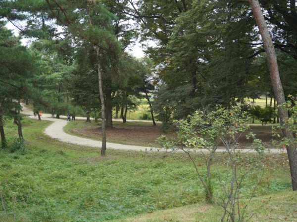 DSC00796.JPG