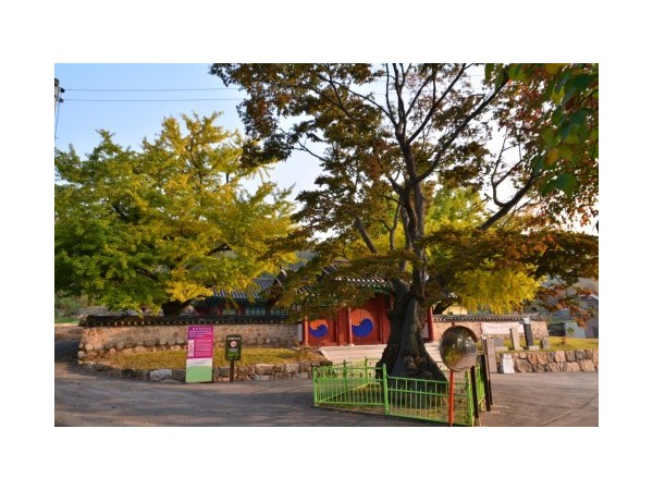 경기_양주향교_1.JPG?type=m500_500