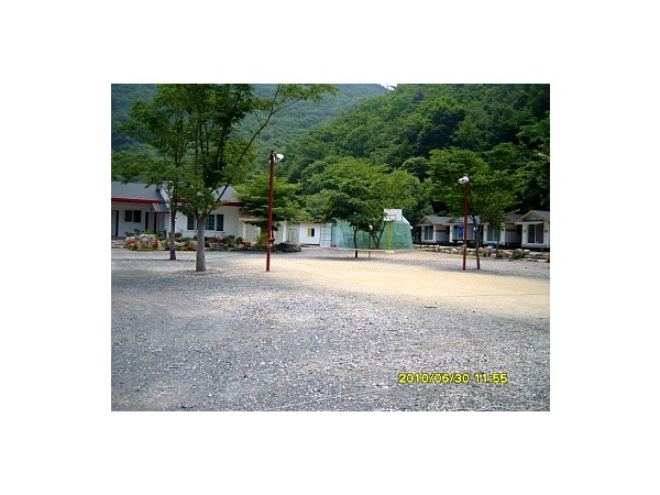 12774297_4.jpg