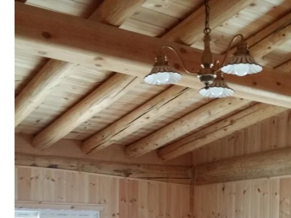 20170505_154856.jpg