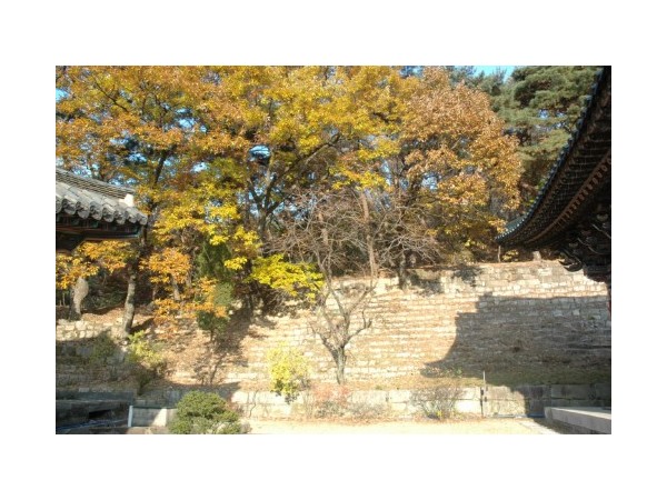 서울_진관사_10.JPG