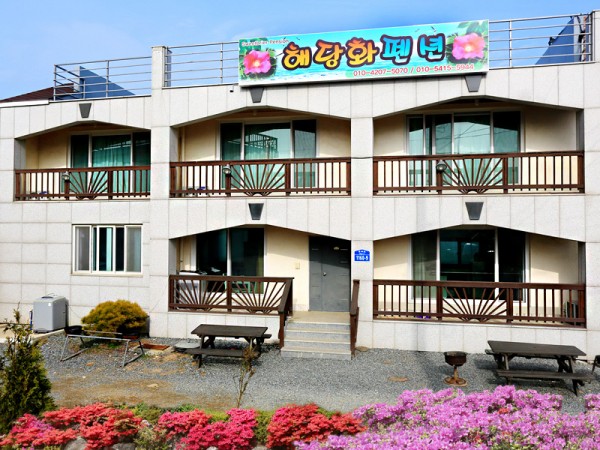 01.jpg