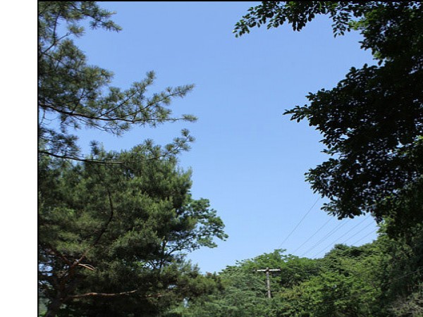 사진_060.jpg