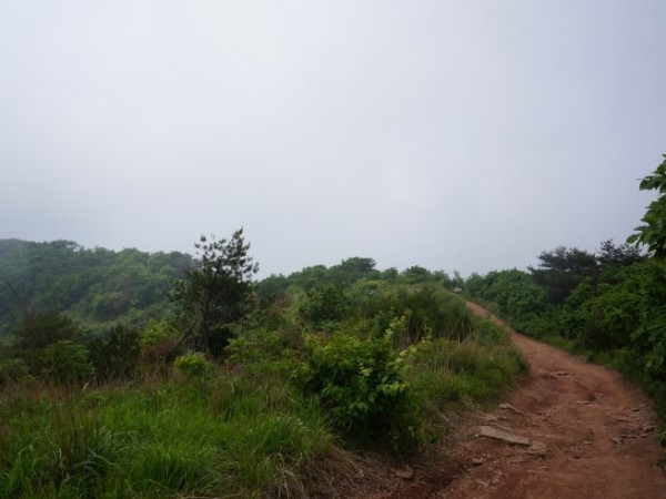 DSC01630.JPG