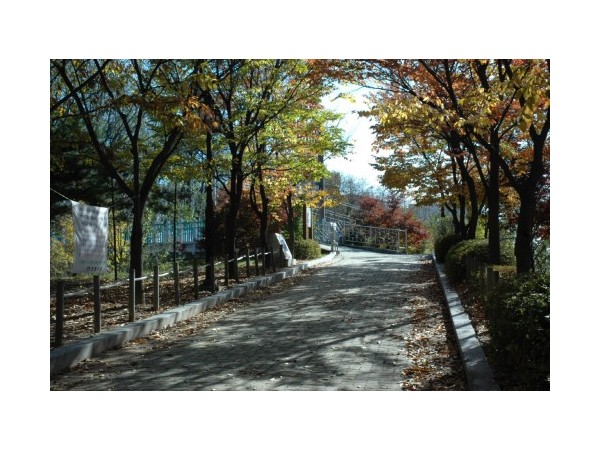 서울_쌍문근린공원_3.JPG?type=m500_500