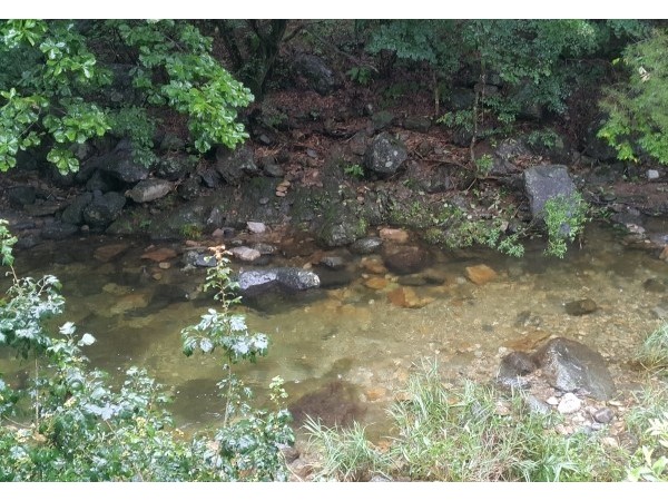 20170810_103459.jpg